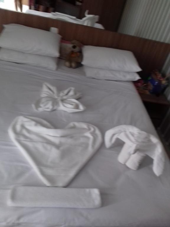 Apartamento Encontro Das Aguas กัลดัสโนวัส ภายนอก รูปภาพ
